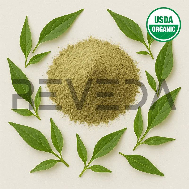 Andrographis Paniculata Extract Powder