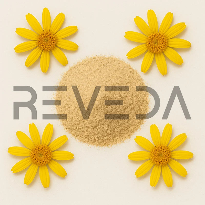 Arnica Extract Powder