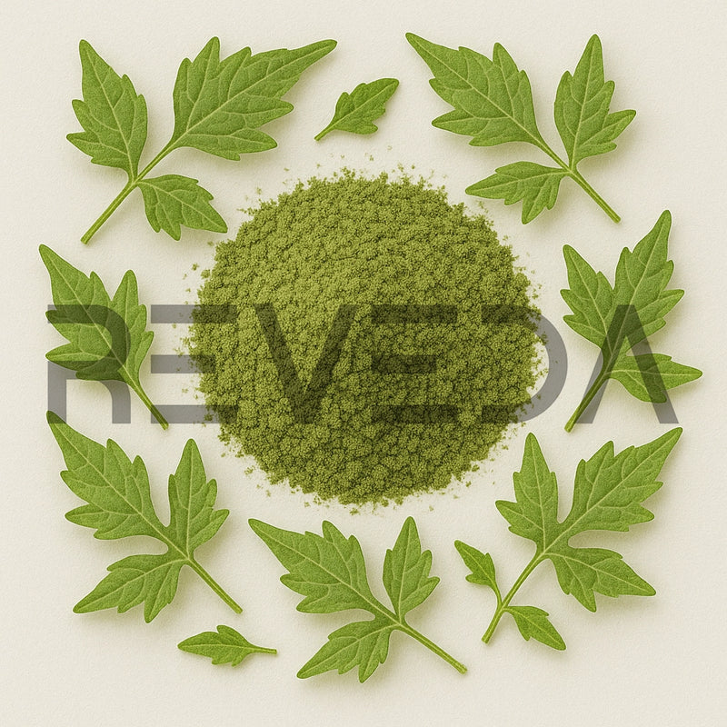Balloon Vine Leaf Powder