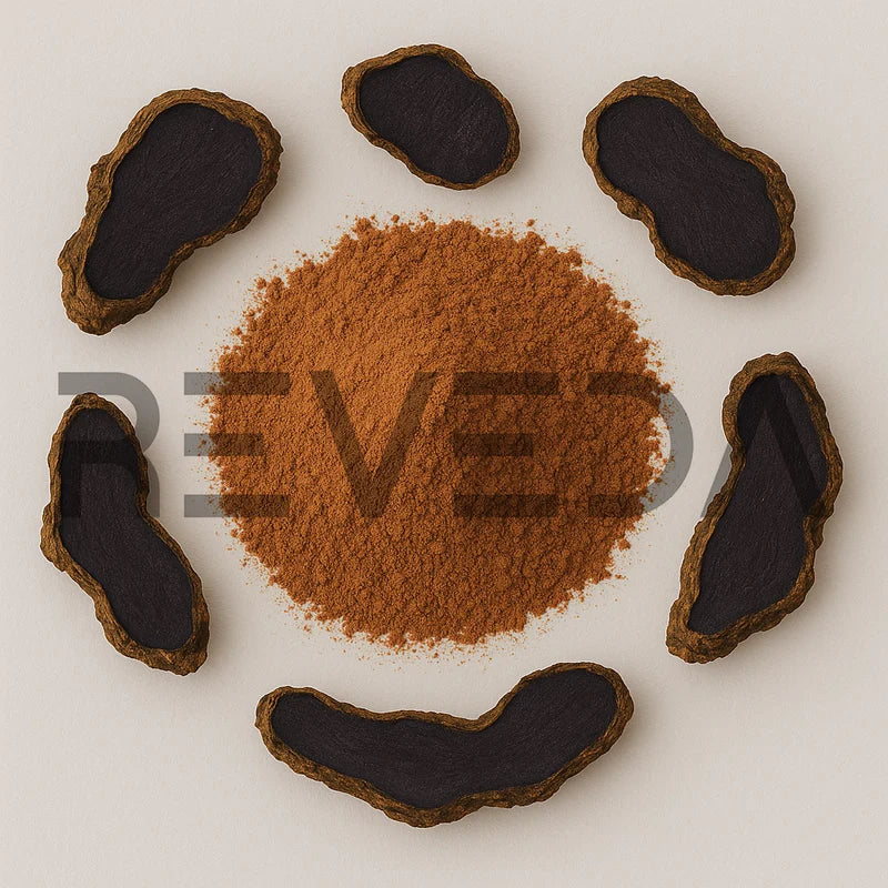 Black Ginger Extract Powder