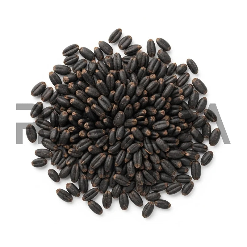 Black Wheat Seeds