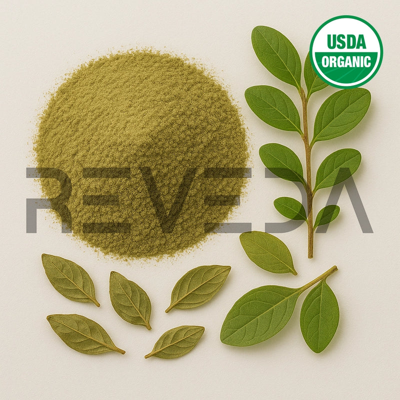 Boldo Extract Powder