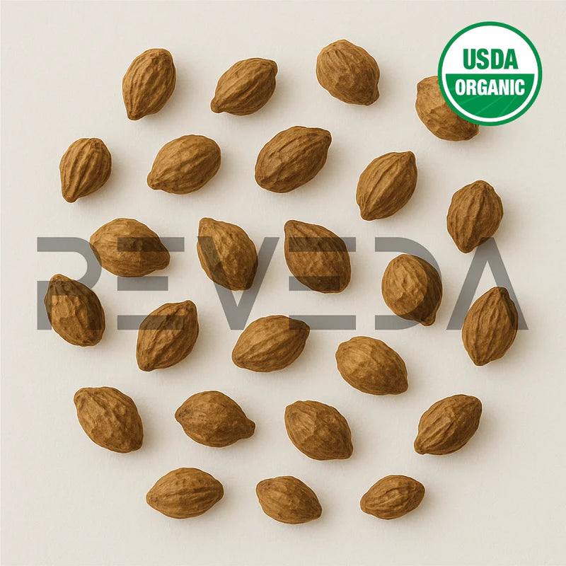 Brahm Dandi Seeds