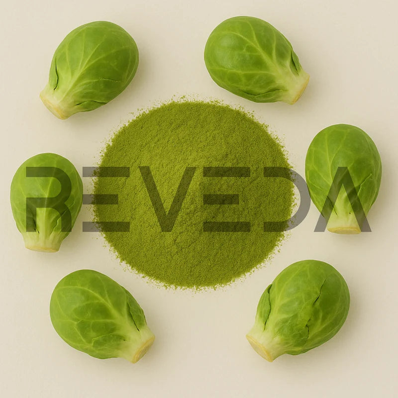 Brussels Sprout Extract Powder