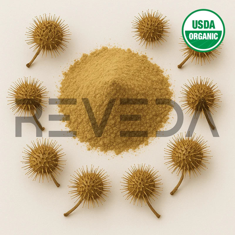 Burdock Fruit Extract Powder