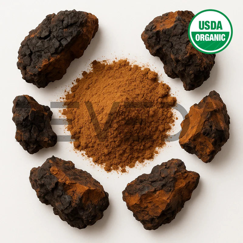 Chaga Mushroom Extract Powder