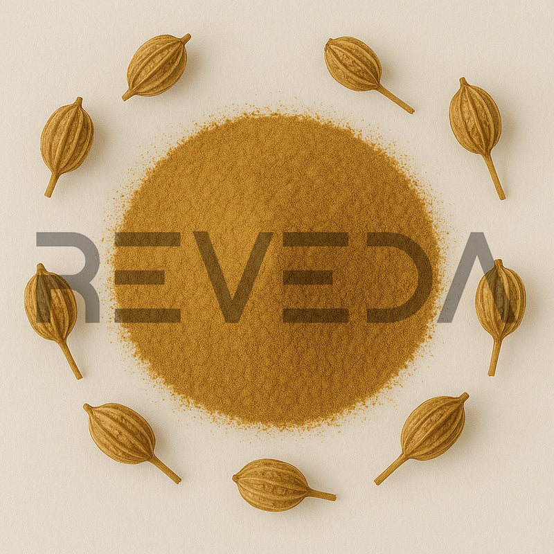 Cnidium Extract Powder