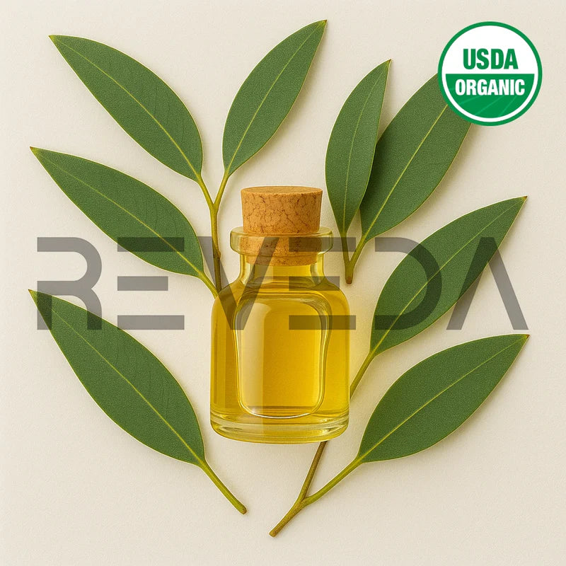 Eucalyptus Essential Oil