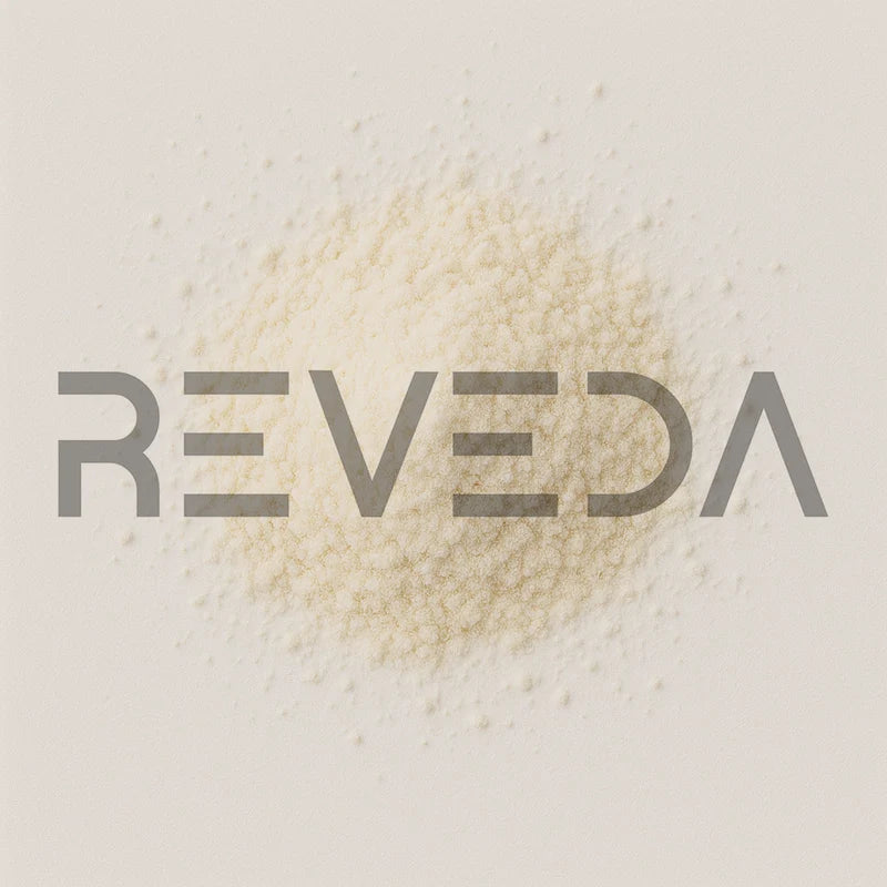 Faecalibacterium Prausnitzii Probiotic Powder