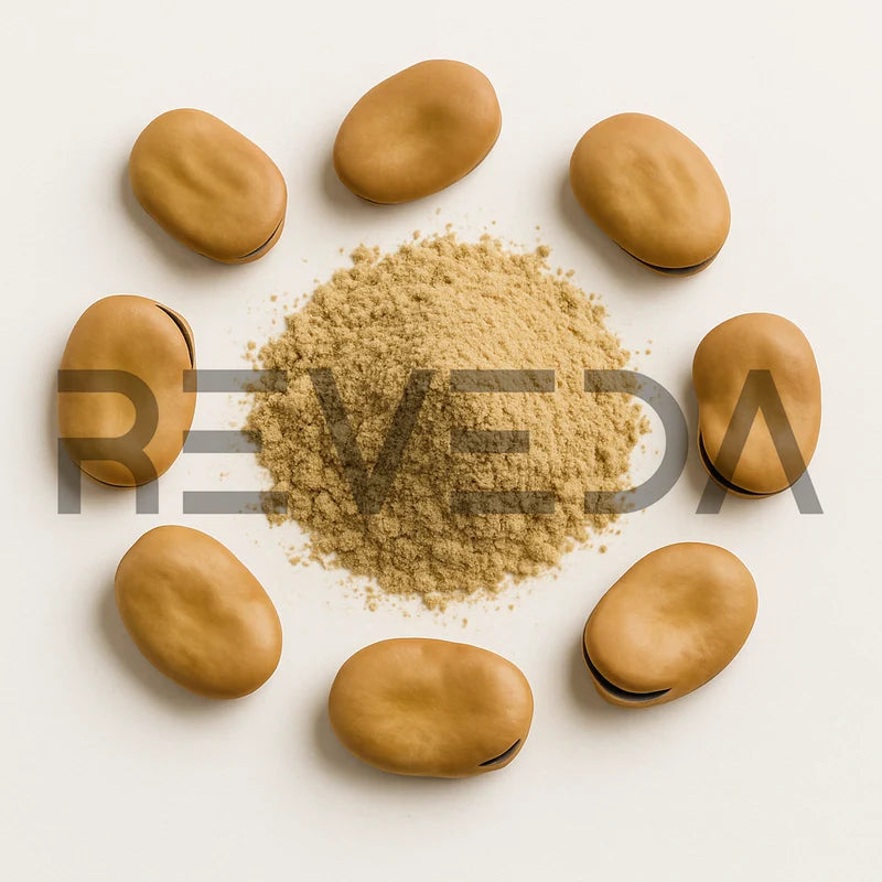 Fava Bean Powder