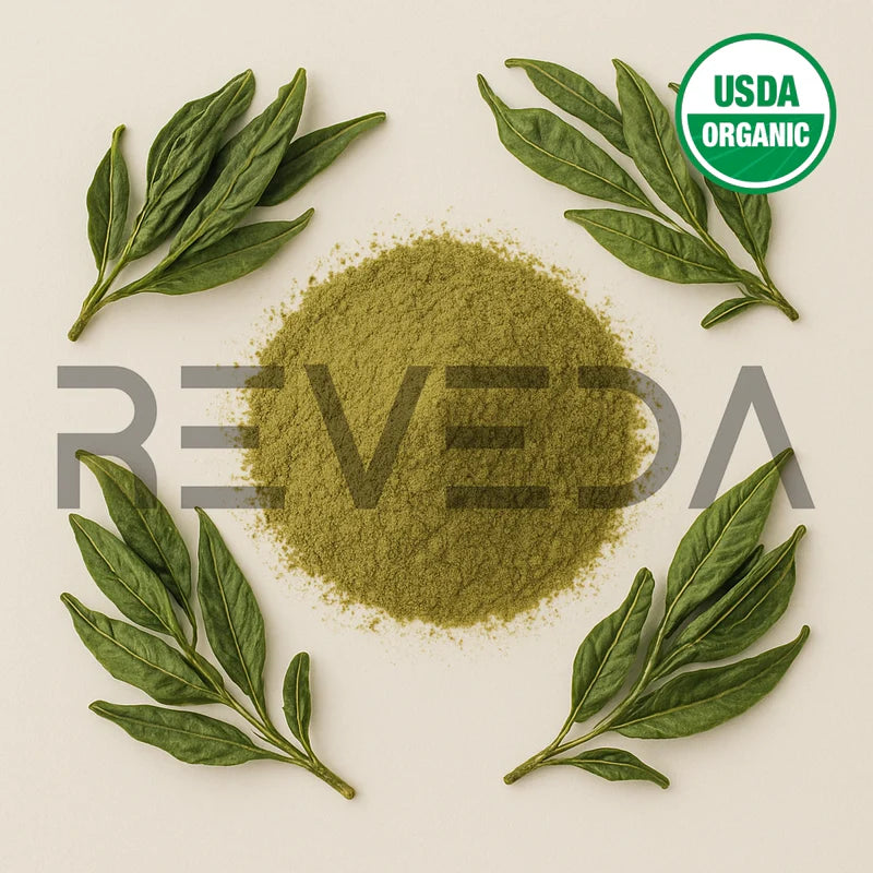 Green Tea Leaves Extract Powder