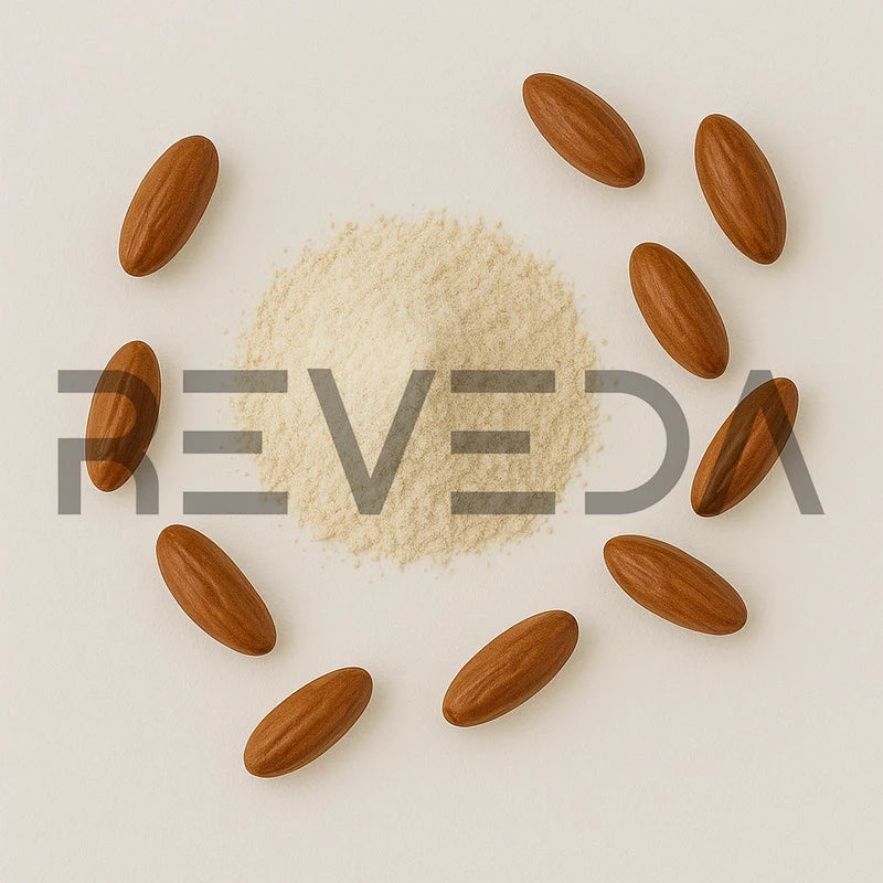 Jujube Extract Powder