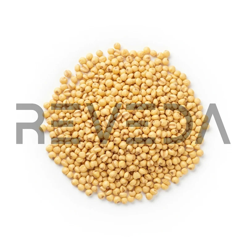 Kangani Millet Seeds