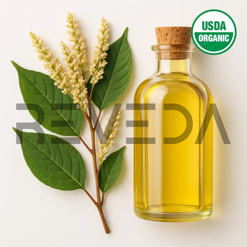 Knotweed Oil