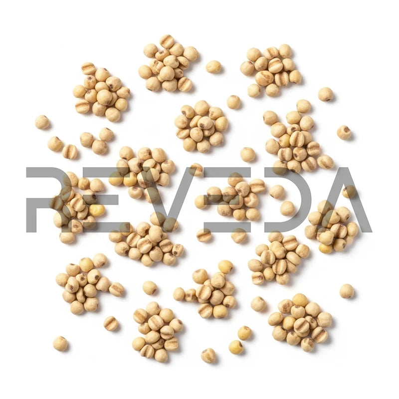 Kodo Millet Seeds