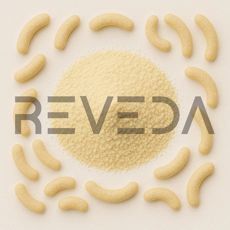 Lactobacillus Bulgaricus Probiotic Powder