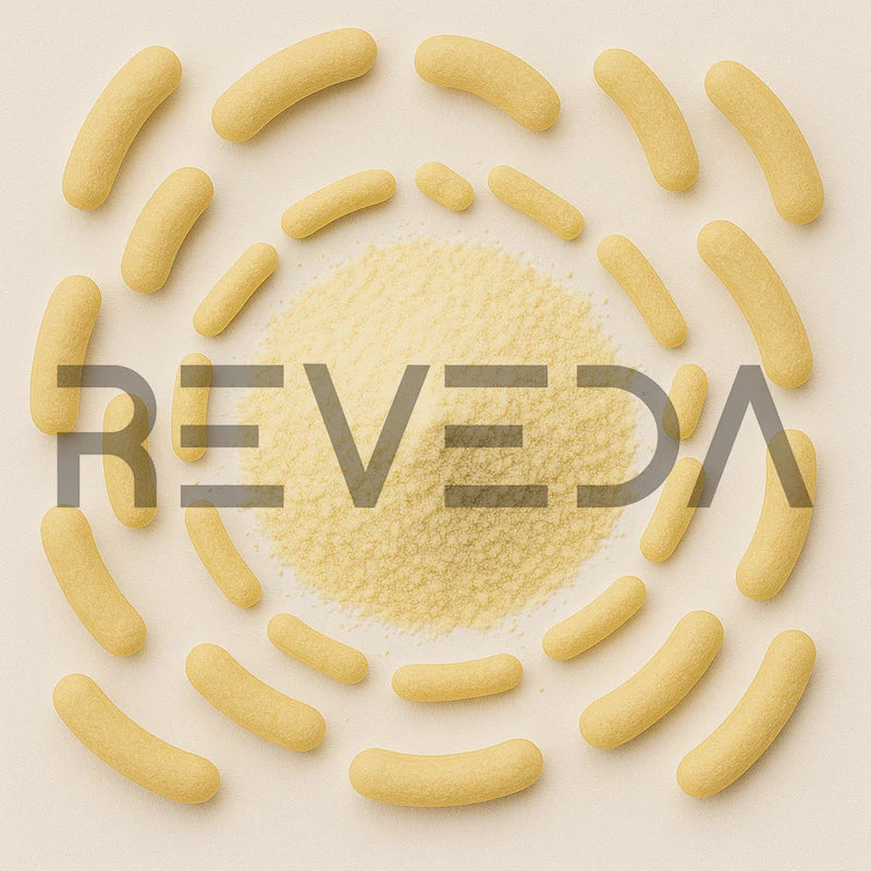 Lactobacillus Johnsonii Probiotic Powder (Acid Reflux Support)