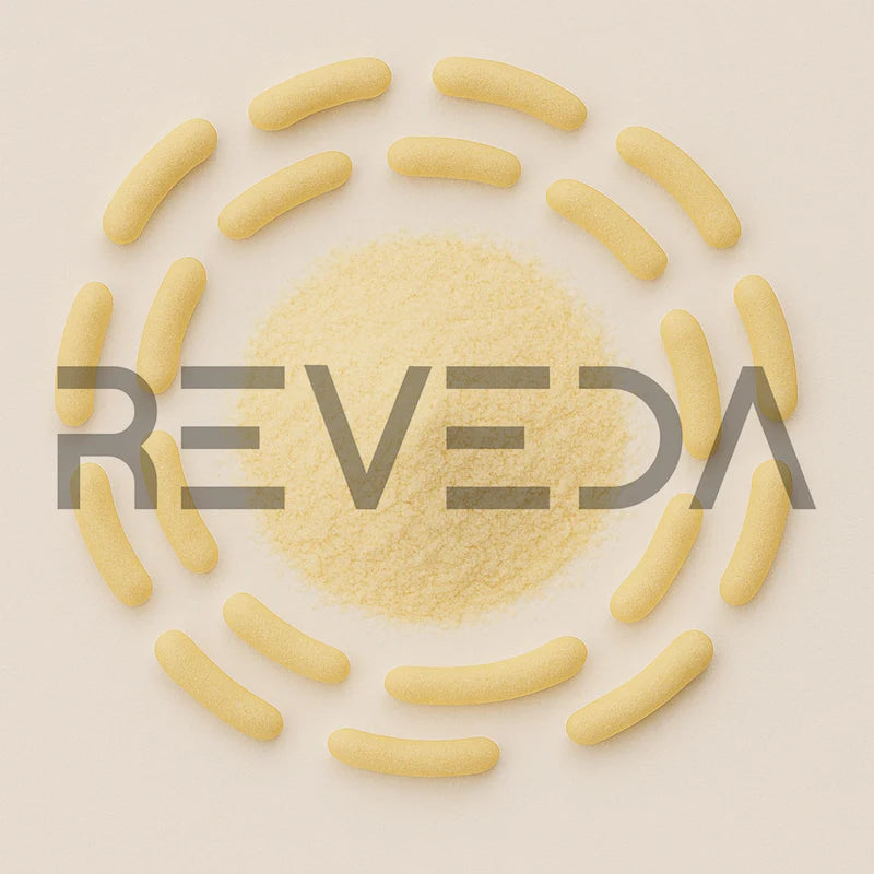 Lactobacillus Rhamnosus Probiotic Powder