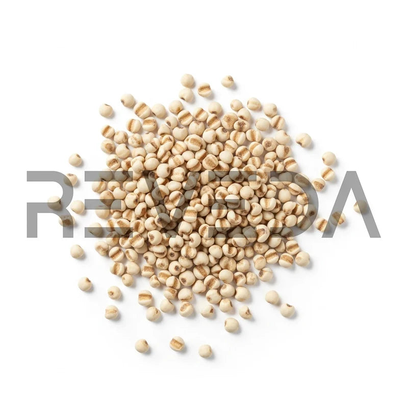 Little Millet Seeds