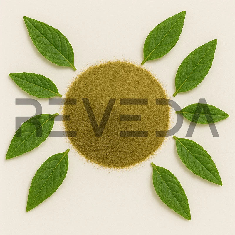 Matico Extract Powder