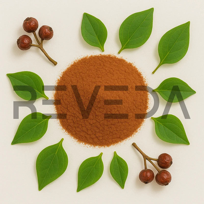 Mexican Sarsaparilla Extract Powder