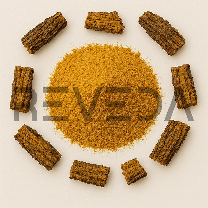 Phellodendron Bark Extract Powder
