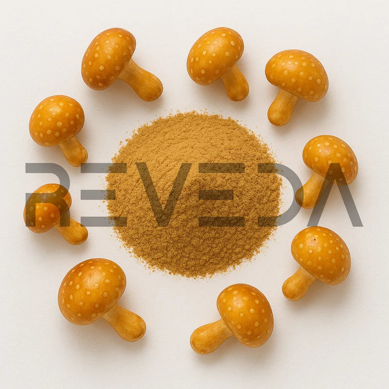 Pholiota Nameko Powder