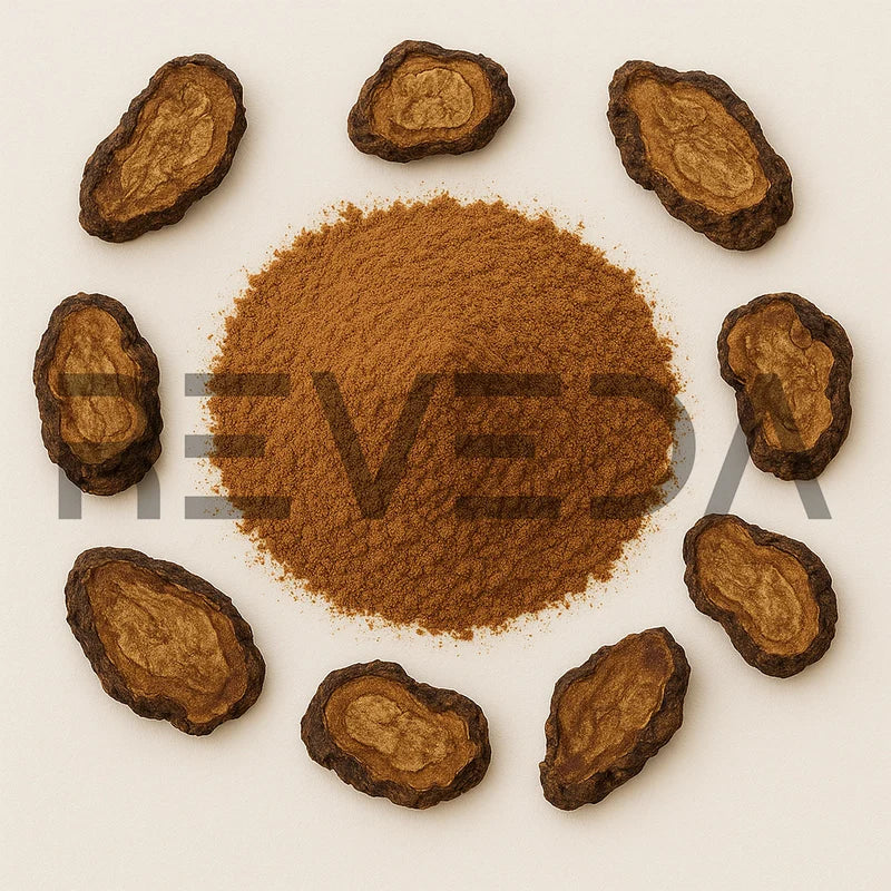 Polygonum Multiflorum Extract Powder