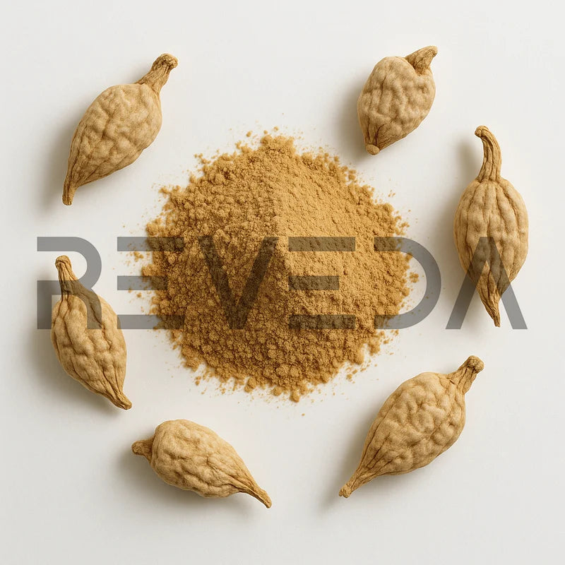 Salep Orchid Extract Powder