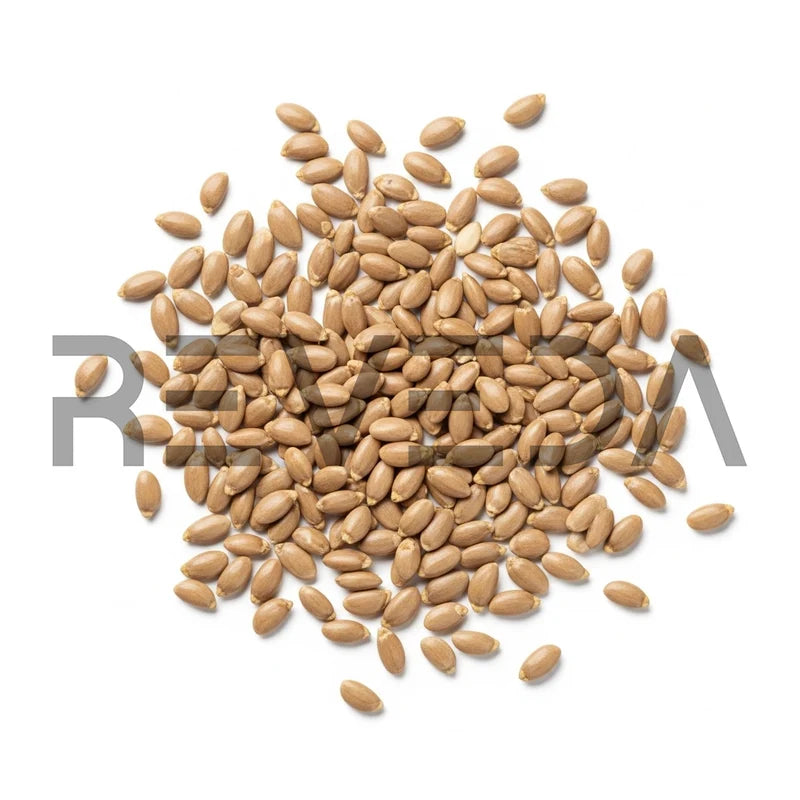 Sesbania Grandiflora Seeds