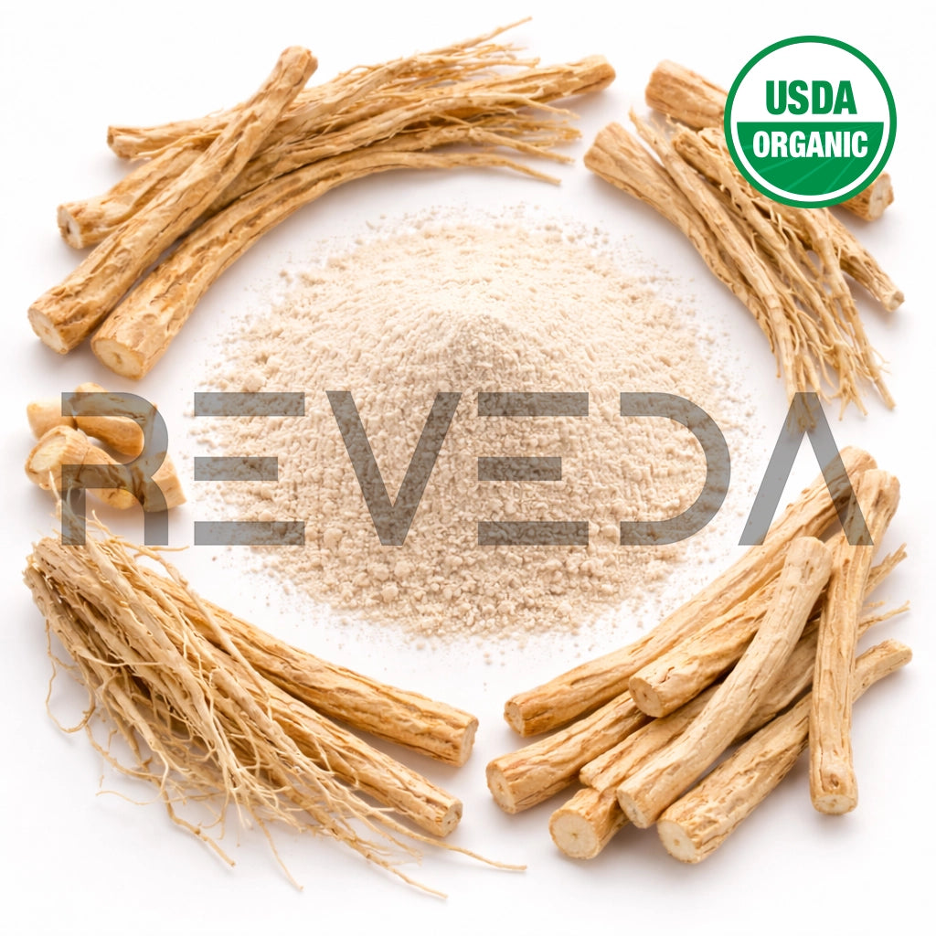 Shatavari Root Extract Powder