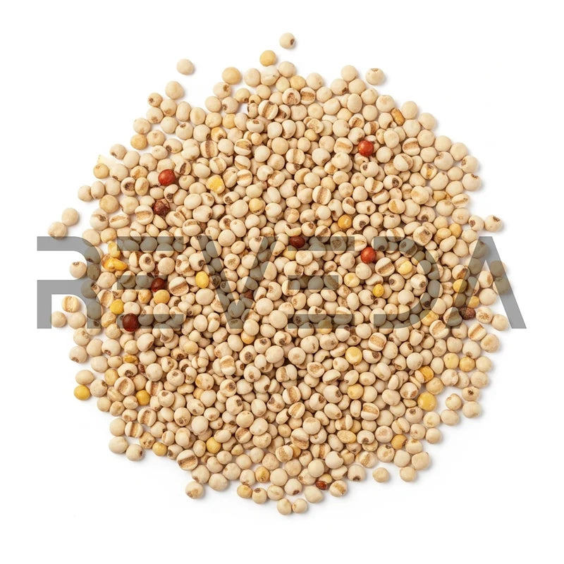 Sorghum Millet Seeds