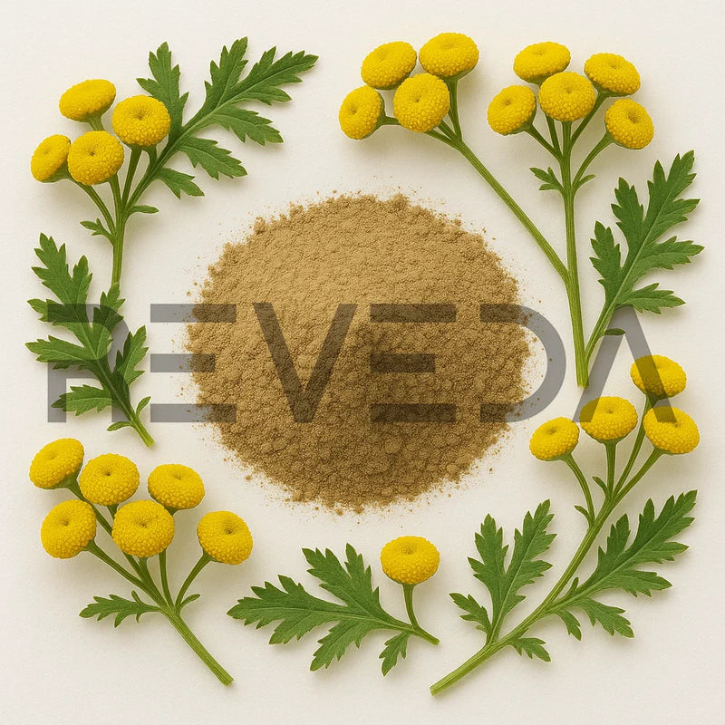 Tansy Powder