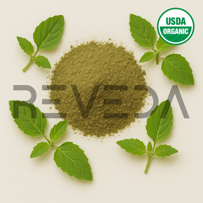 Tulsi Leaf Extract Powder
