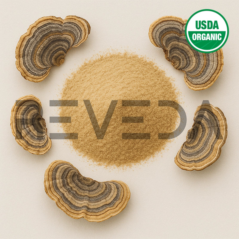 Turkey Tail Mushroom Powder