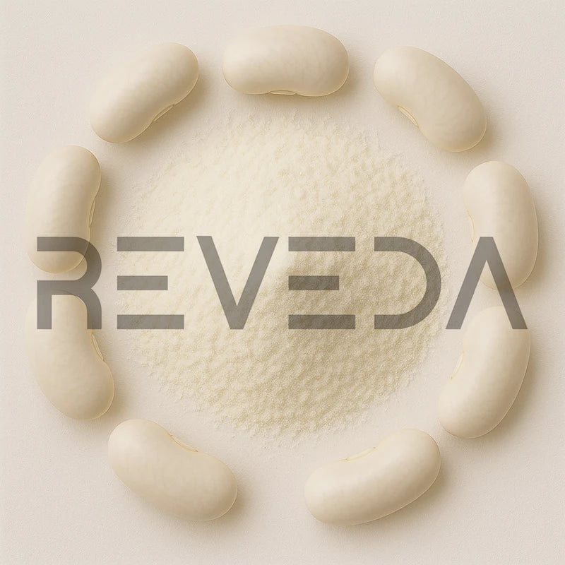 White Kidney Bean Extract Powder