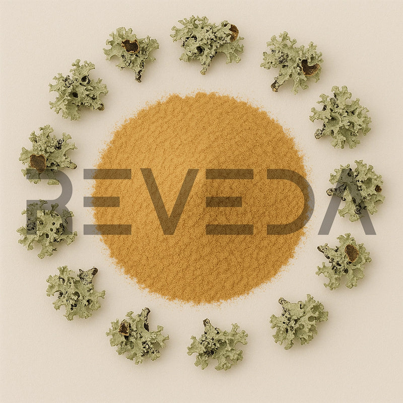 Xanthoparmelia Extract Powder