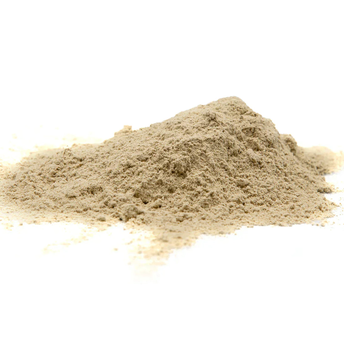Benefits of Akarkara Root Powder - Wholesale B2B Bulk Suppliers