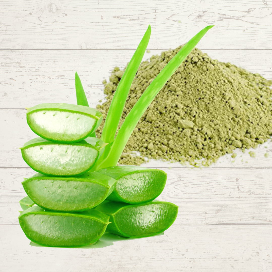 Benefits of Aloe Vera Powder - Wholesale B2B Bulk Suppliers in Europe