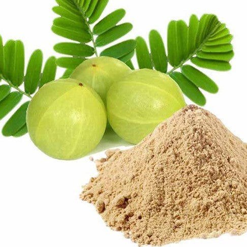 Benefits of Amla Extract Powder - Wholesale B2B Bulk Suppliers in USA