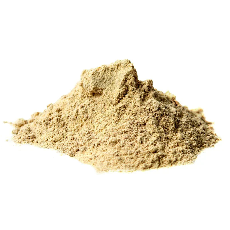 Benefits of Astragalus Extract Powder - Wholesale B2B Bulk Suppliers in Europe