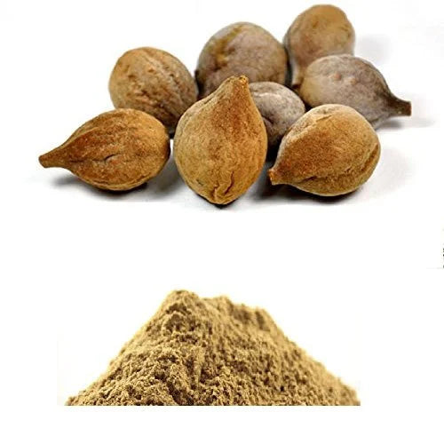 Benefits of Bibhitaki Extract Powder - Wholesale B2B Bulk Suppliers in Europe
