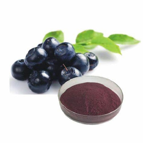 Benefits of Bilberry Powder - Wholesale B2B Bulk Suppliers