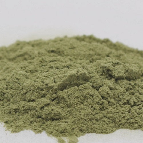 Benefits of Blessed Thistle Extract Powder - Wholesale B2B Bulk Suppliers in USA