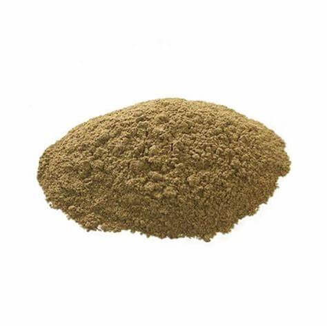 Benefits of Boldo Extract Powder - Wholesale B2B Bulk Suppliers in USA