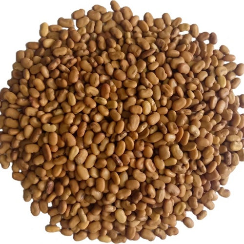 Benefits Of Sesbania Grandiflora Seeds - Wholesale B2B Bulk Suppliers