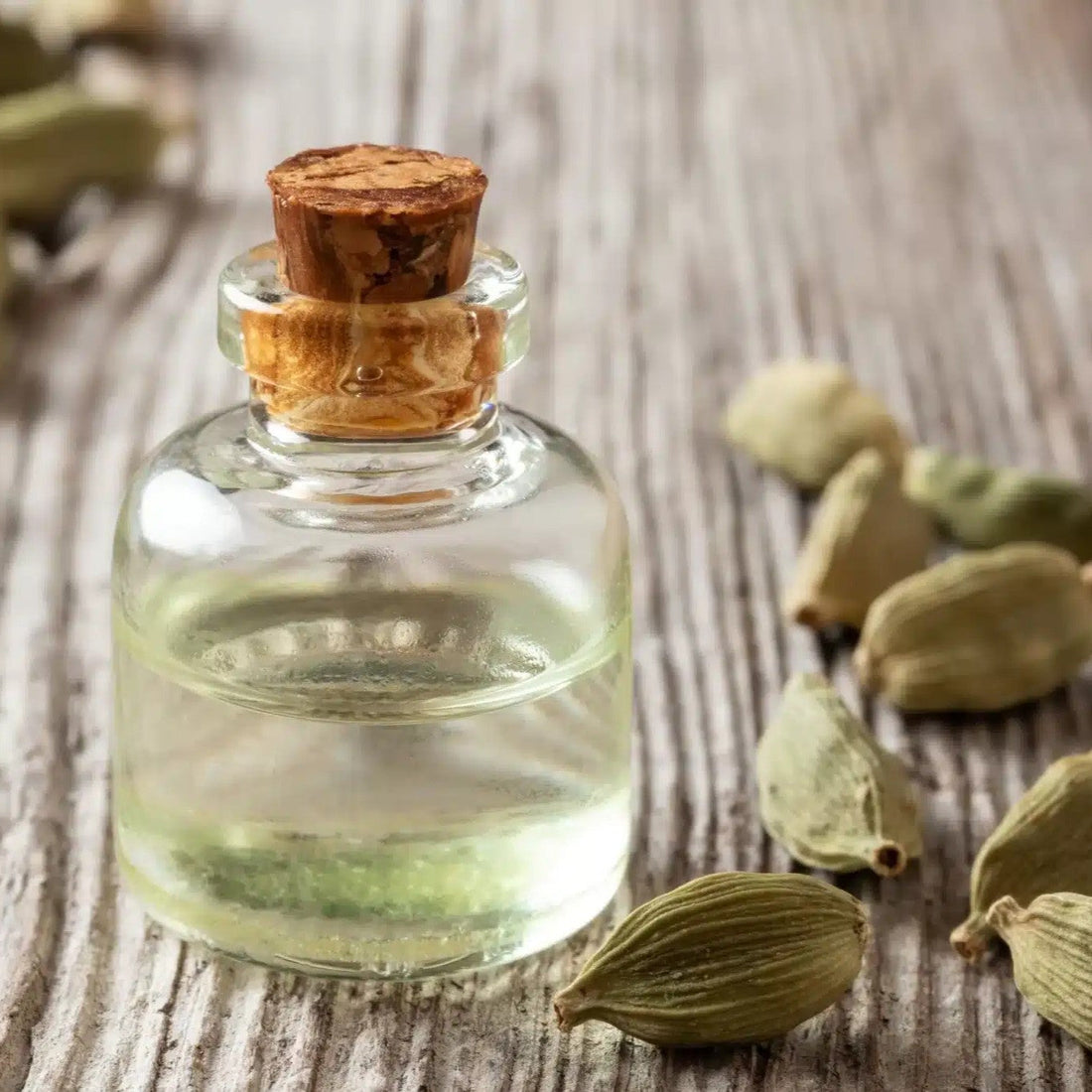 Benefits of Cardamom Essential Oil - Wholesale B2B Bulk Suppliers in Europe