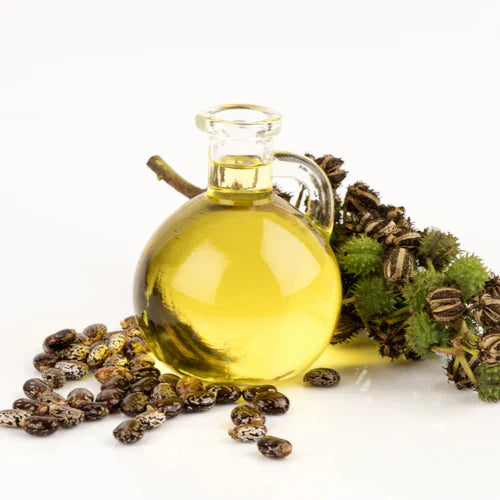 Benefits of Castor Oil - Wholesale B2B Bulk Suppliers in USA