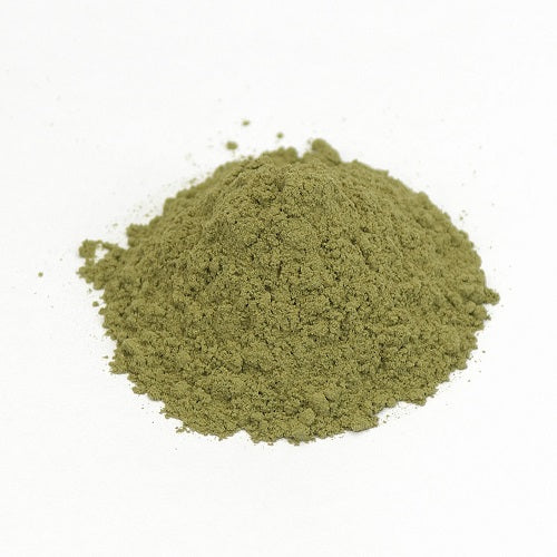 Benefits of Catnip Extract Powder - Wholesale B2B Bulk Suppliers in USA