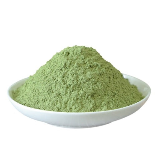 Benefits of Celery Powder - Wholesale B2B Bulk Suppliers in Europe